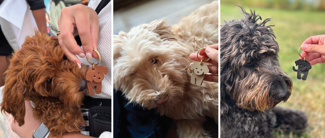 From Leather Scraps to Bestsellers: How Hero Dogs Have Become the Heart of Moss Bags