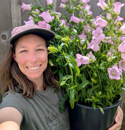 Nicole Huson of Headwaters Farm Is Building a Flower Business Rooted in Family, Community, and Seasonal Growth